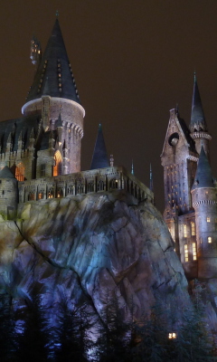 Screenshot №1 pro téma Hogwarts Castle 240x400