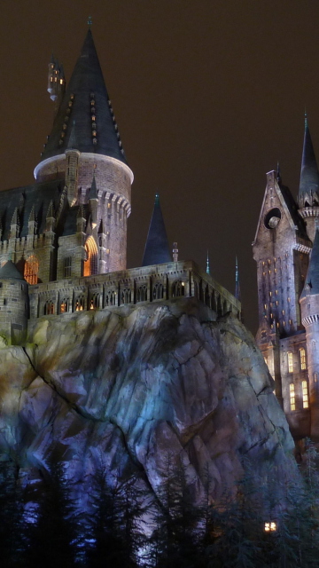 Das Hogwarts Castle Wallpaper 360x640