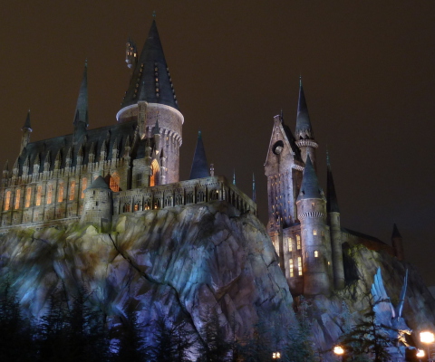 Screenshot №1 pro téma Hogwarts Castle 480x400
