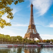 Обои Paris Symbol Eiffel Tower 208x208