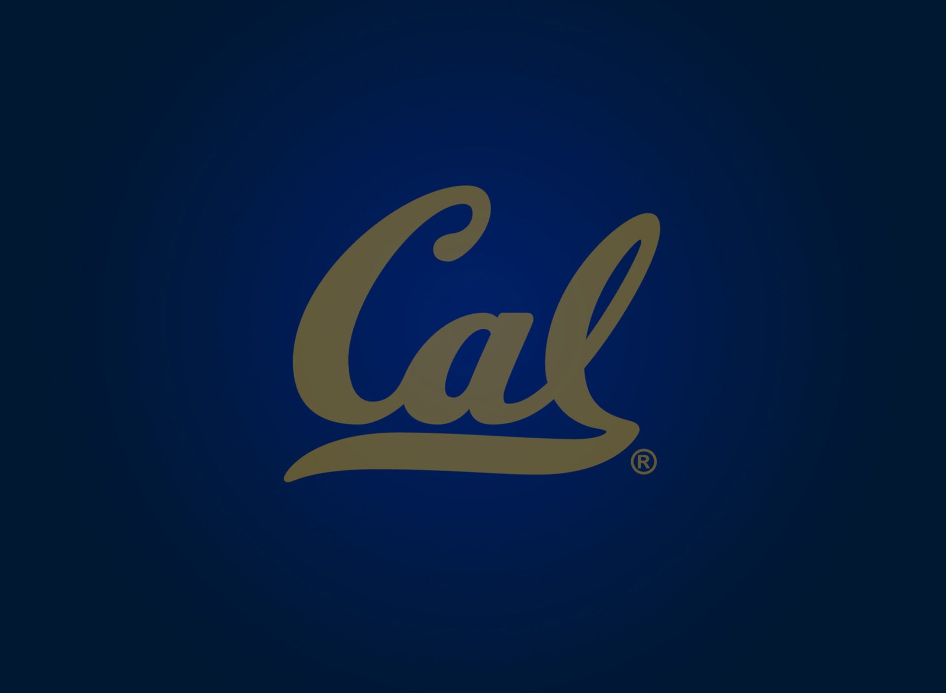 Screenshot №1 pro téma California Golden Bears 1920x1408