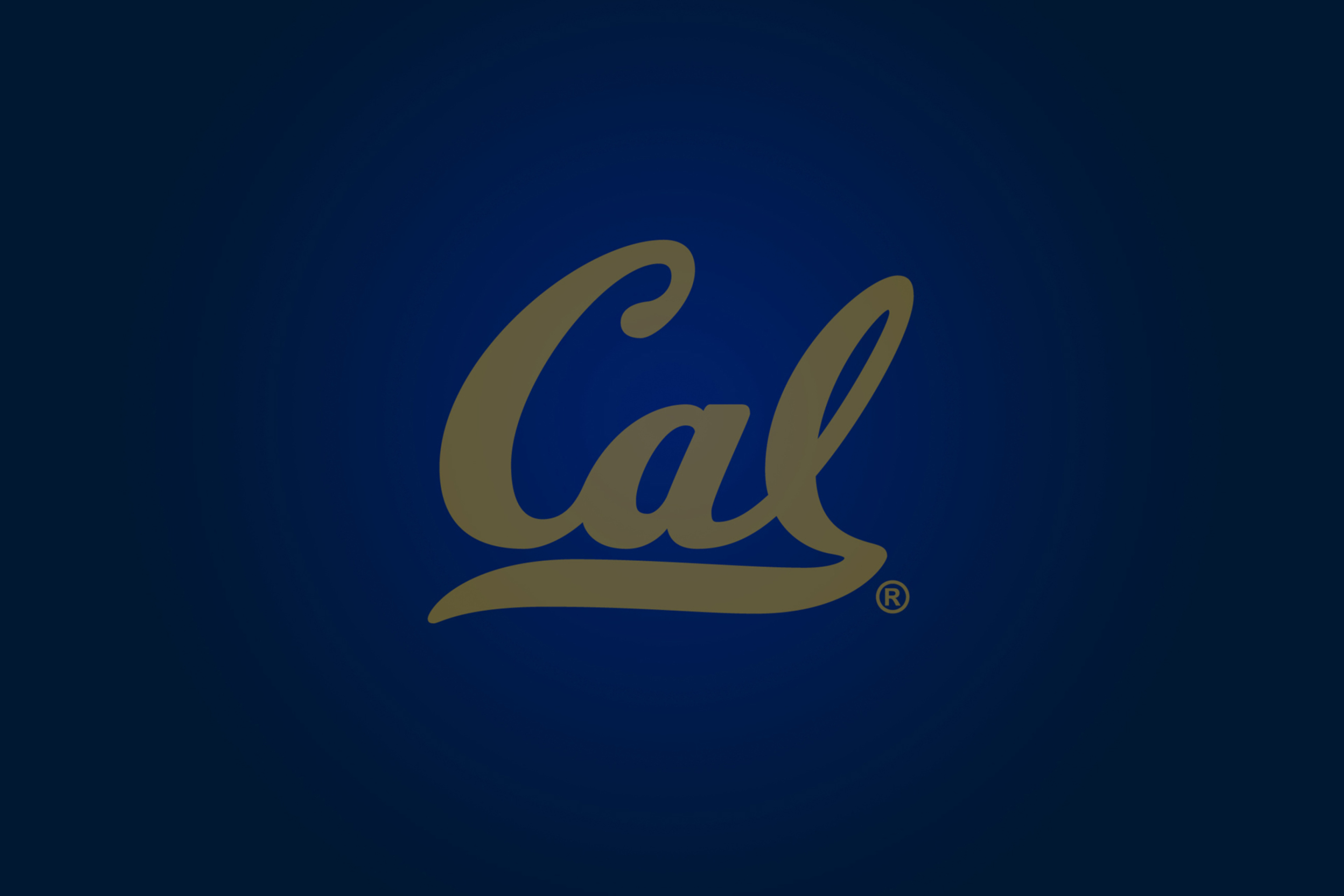 Обои California Golden Bears 2880x1920