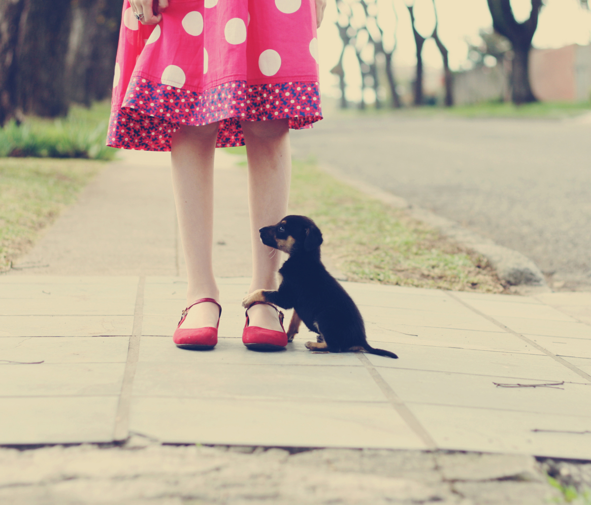 Sfondi Girl In Polka Dot Dress And Her Puppy 1200x1024