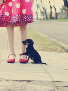 Sfondi Girl In Polka Dot Dress And Her Puppy 240x320