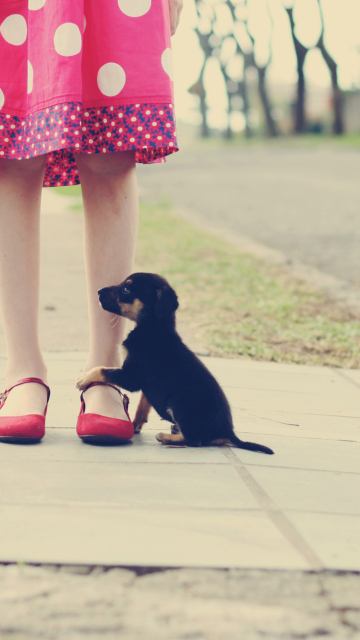 Screenshot №1 pro téma Girl In Polka Dot Dress And Her Puppy 360x640