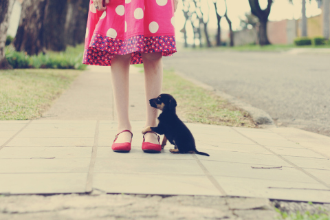 Fondo de pantalla Girl In Polka Dot Dress And Her Puppy 480x320