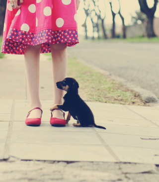 Girl In Polka Dot Dress And Her Puppy - Obrázkek zdarma pro 128x160