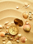Screenshot №1 pro téma Compass And Shells On Sand 132x176