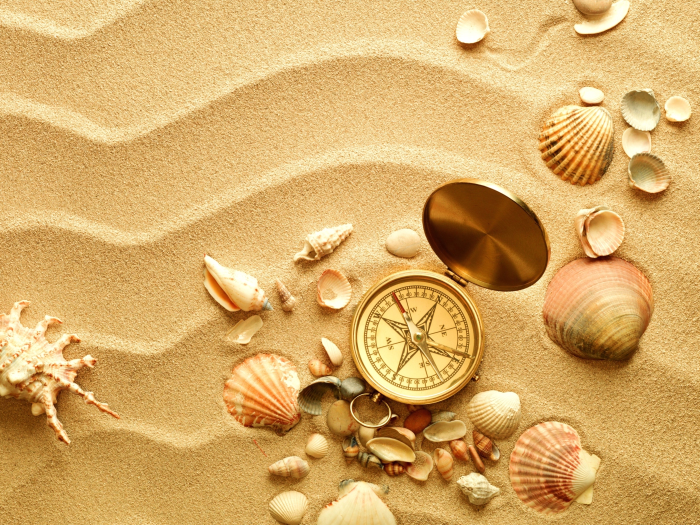 Sfondi Compass And Shells On Sand 1400x1050