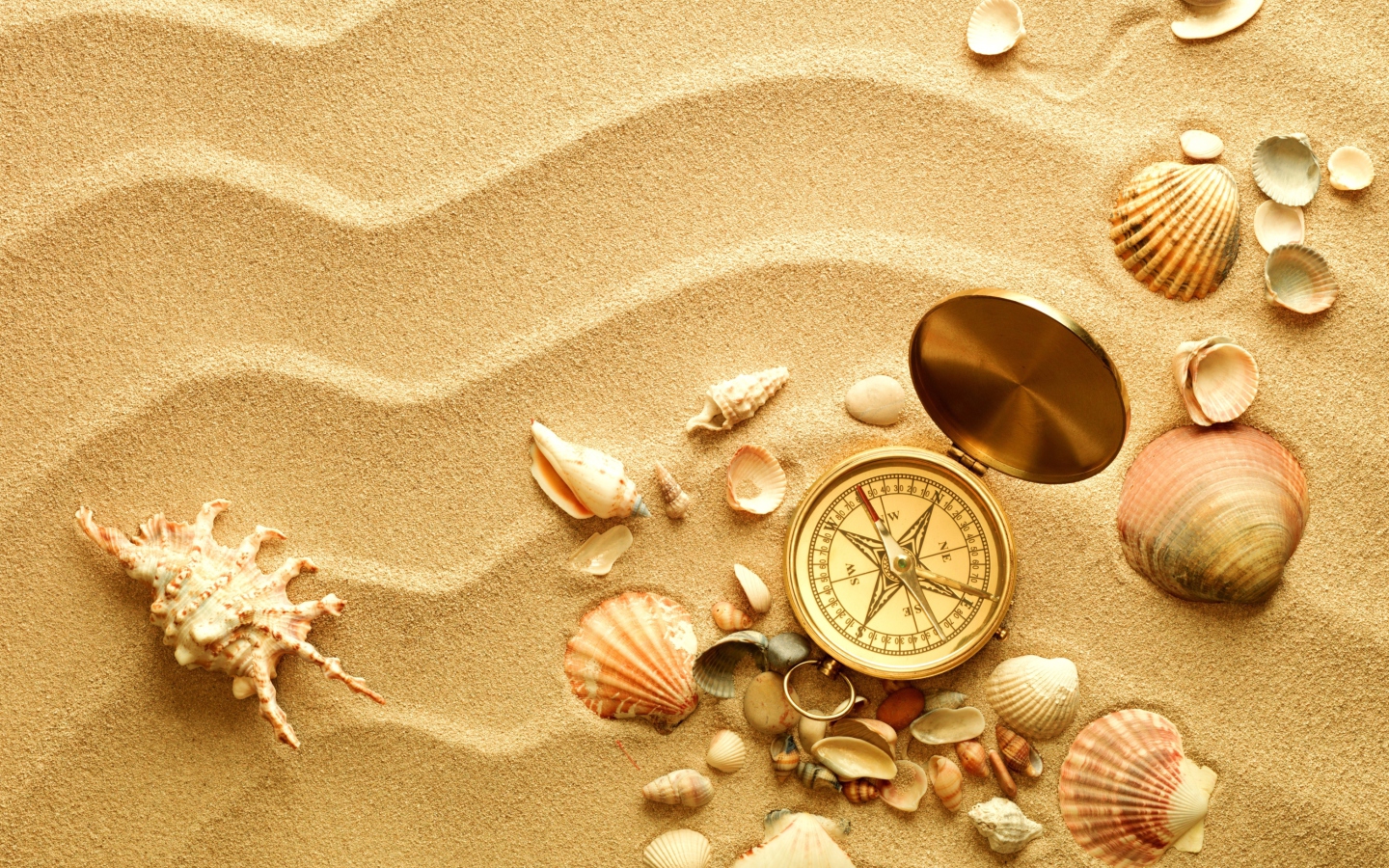 Обои Compass And Shells On Sand 1440x900