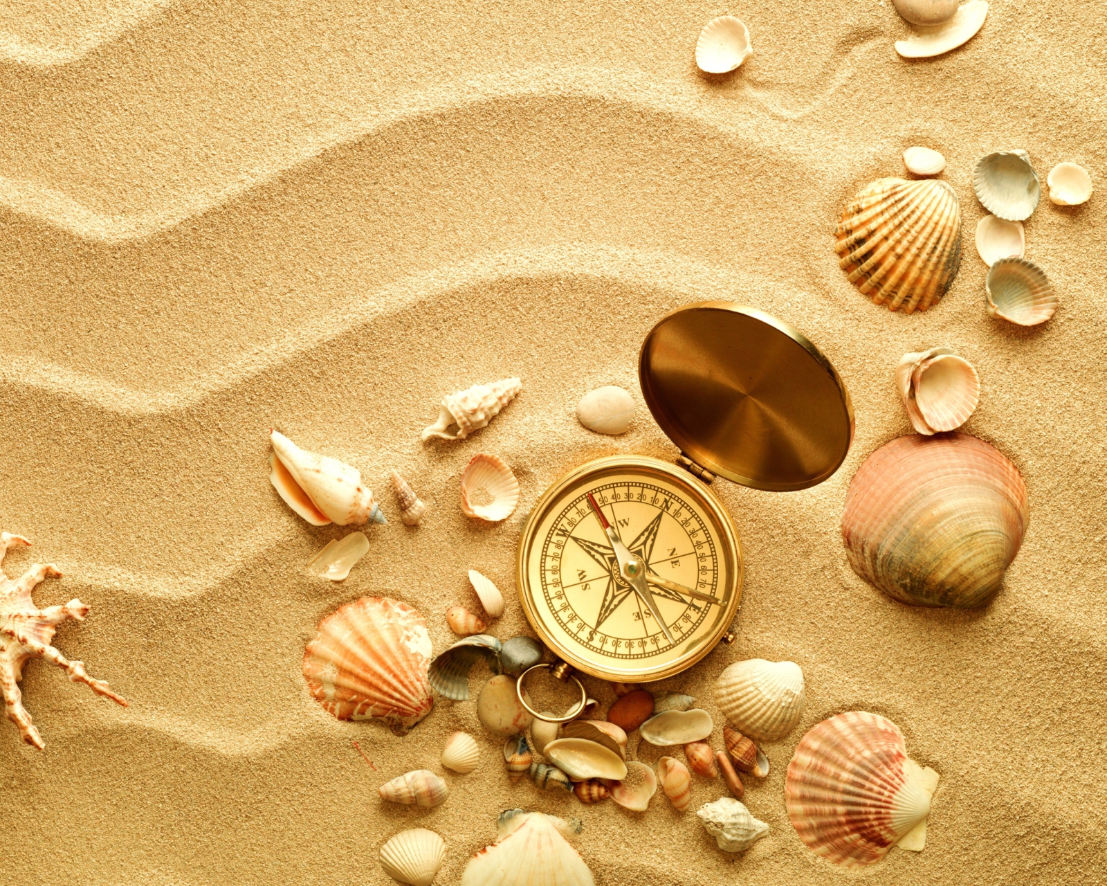 Обои Compass And Shells On Sand 1600x1280