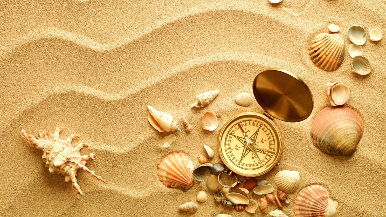 Fondo de pantalla Compass And Shells On Sand 1600x900