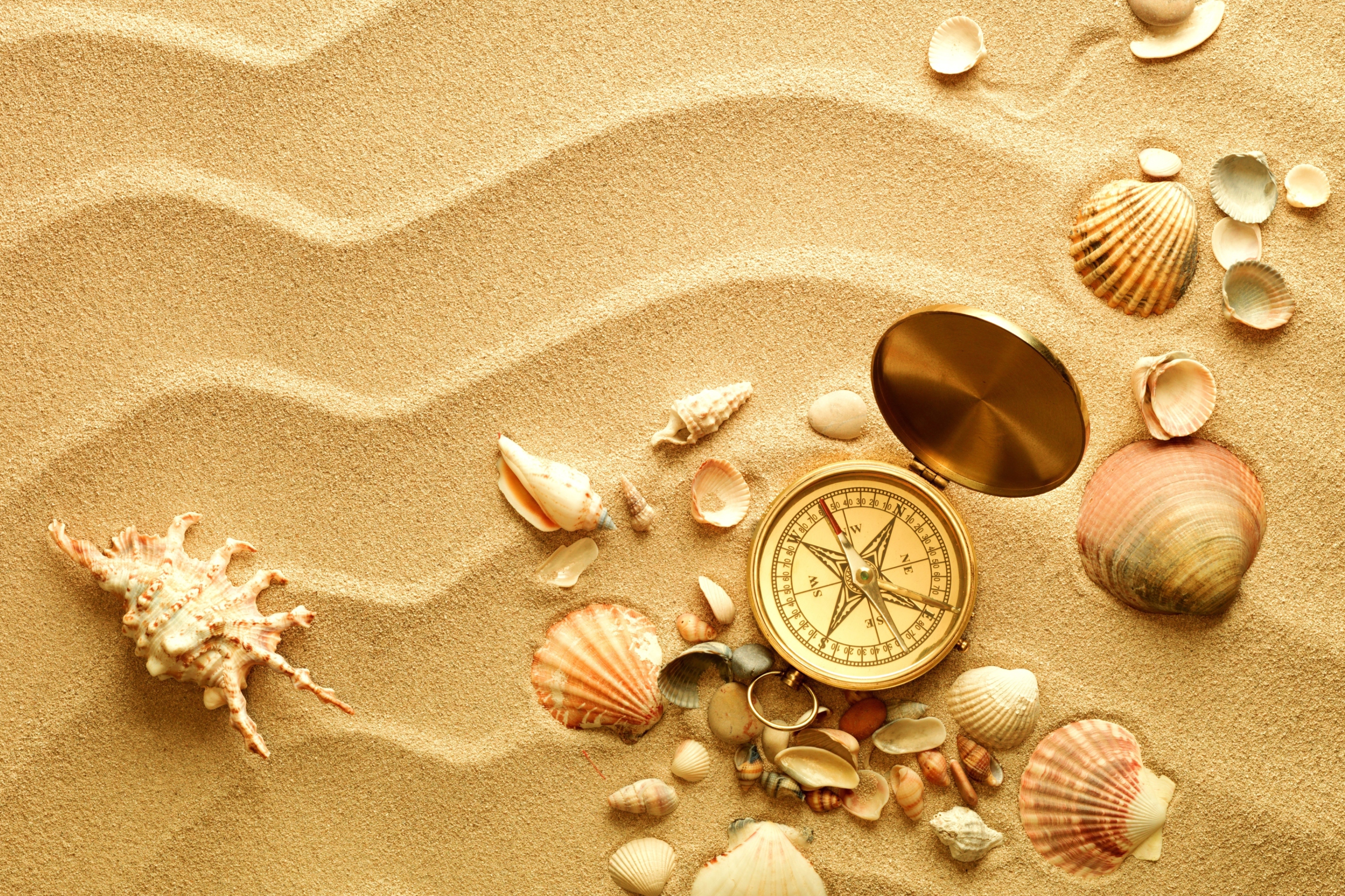 Sfondi Compass And Shells On Sand 2880x1920
