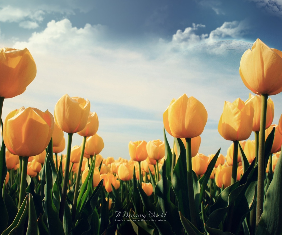 Screenshot №1 pro téma Yellow Tulips 960x800