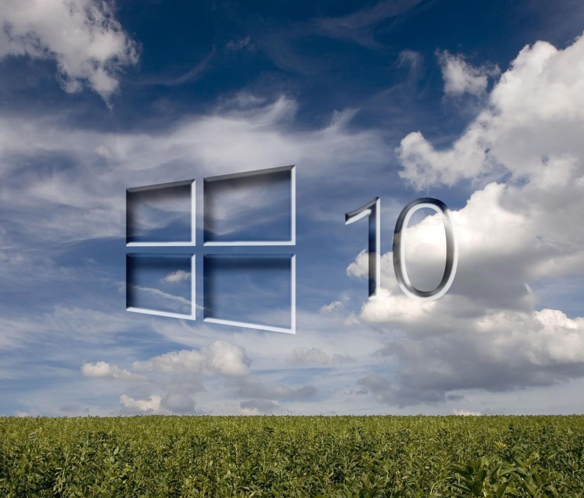 Обои Windows 10 Grass Field 1200x1024
