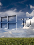 Windows 10 Grass Field wallpaper 132x176