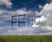 Das Windows 10 Grass Field Wallpaper 176x144