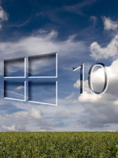 Fondo de pantalla Windows 10 Grass Field 240x320