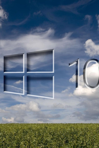 Das Windows 10 Grass Field Wallpaper 320x480