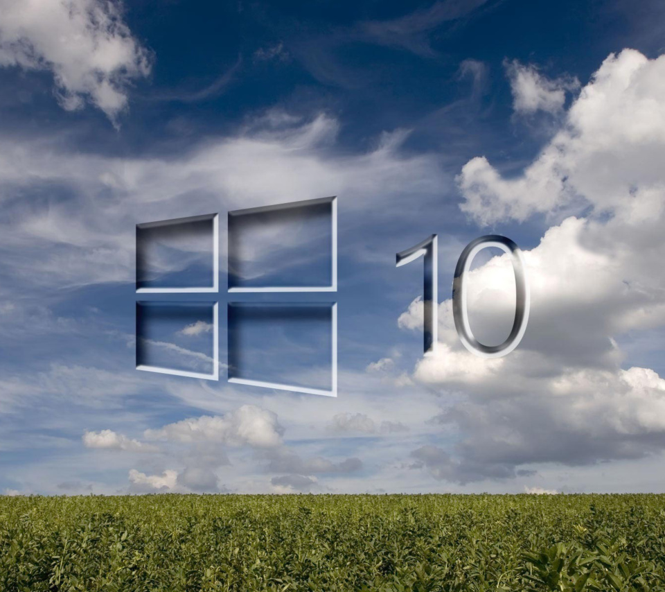 Fondo de pantalla Windows 10 Grass Field 960x854