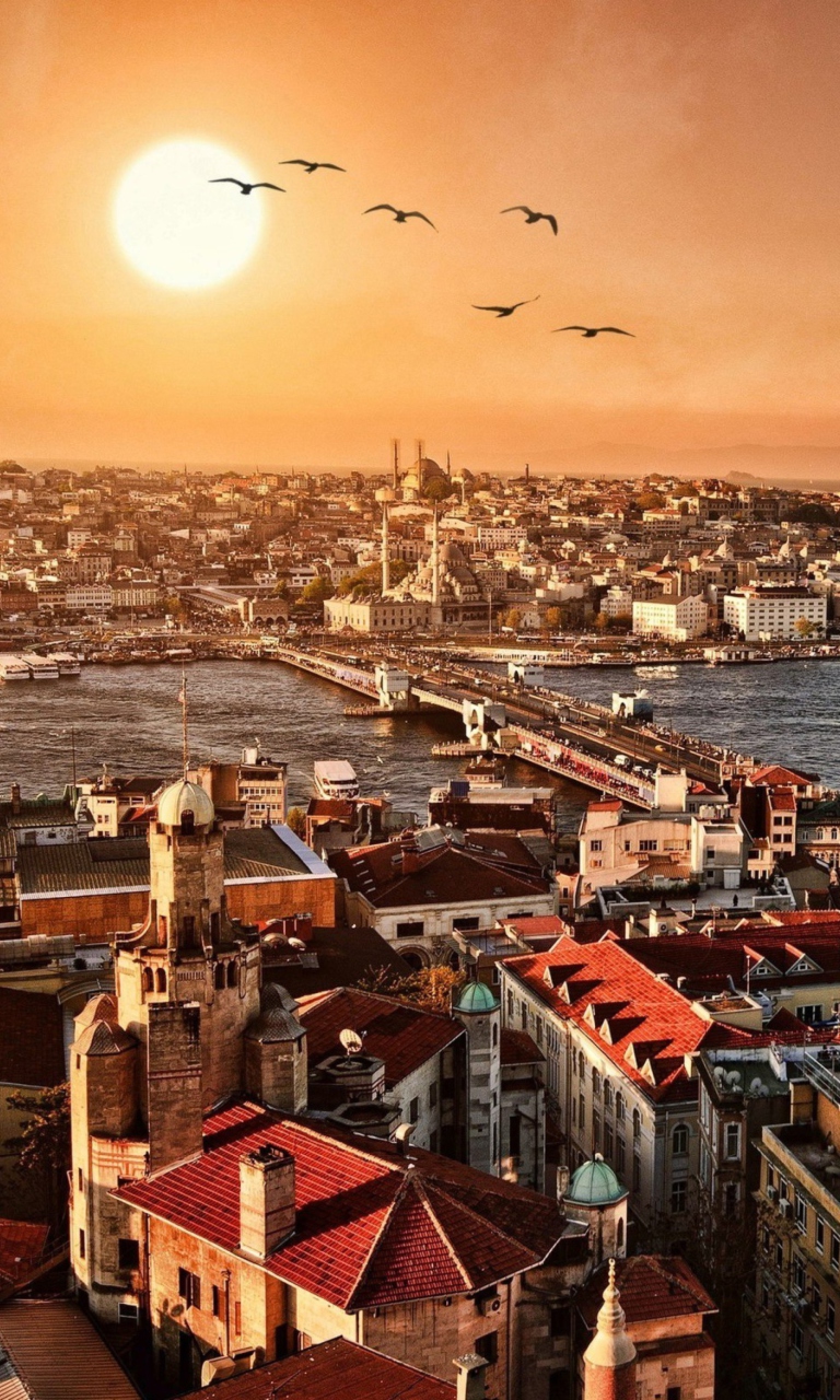 Istanbul screenshot #1 768x1280