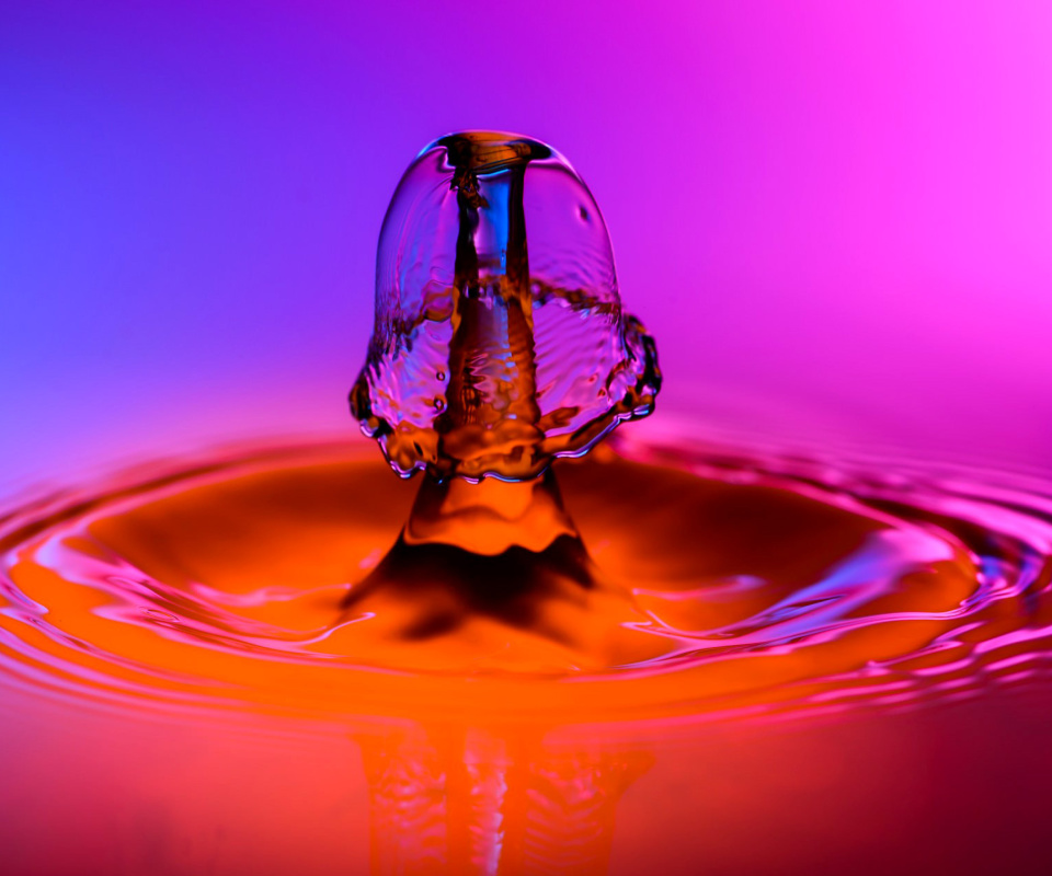 Macro Splash screenshot #1 960x800