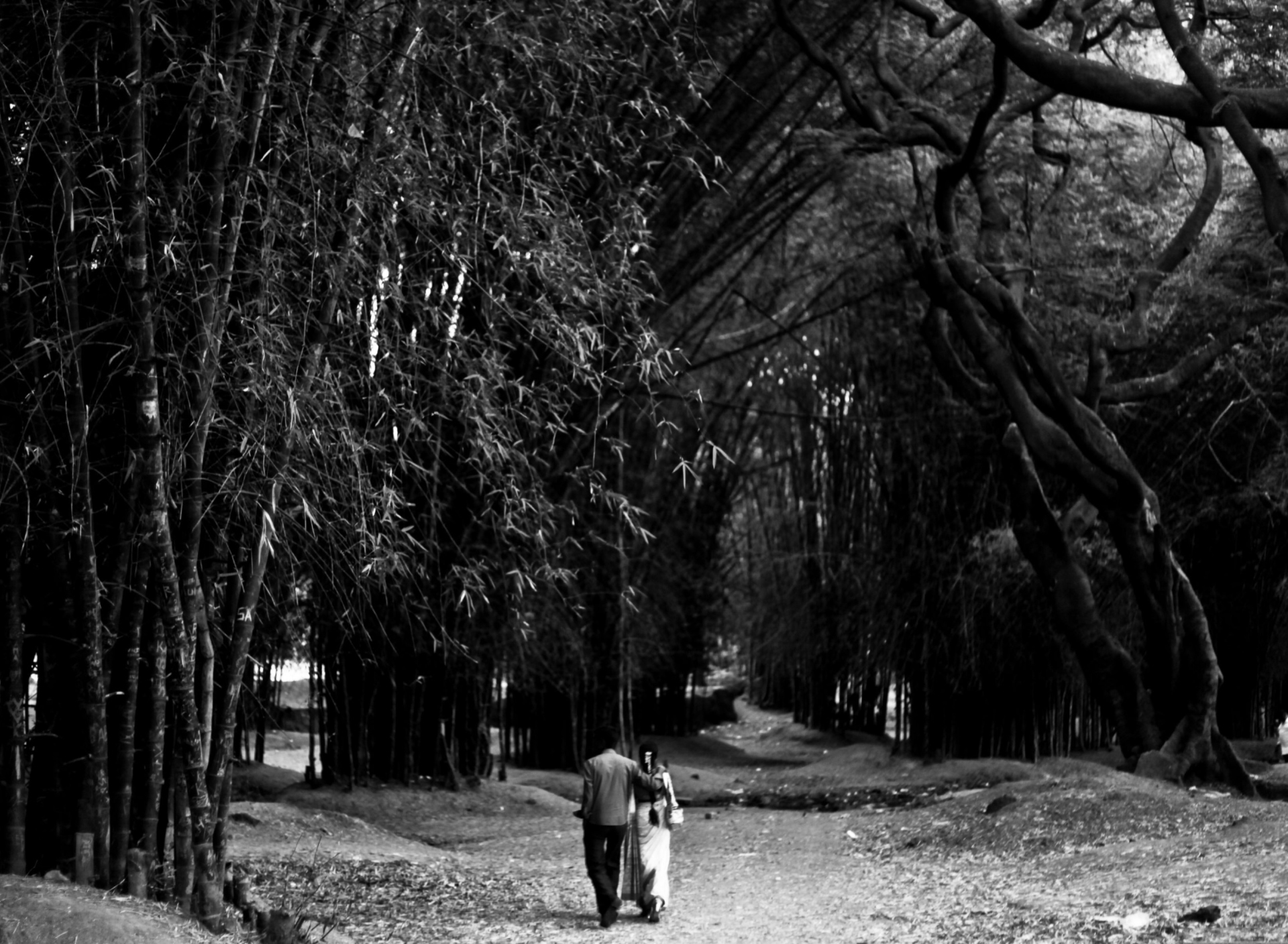 Обои Romantic Walk 1920x1408