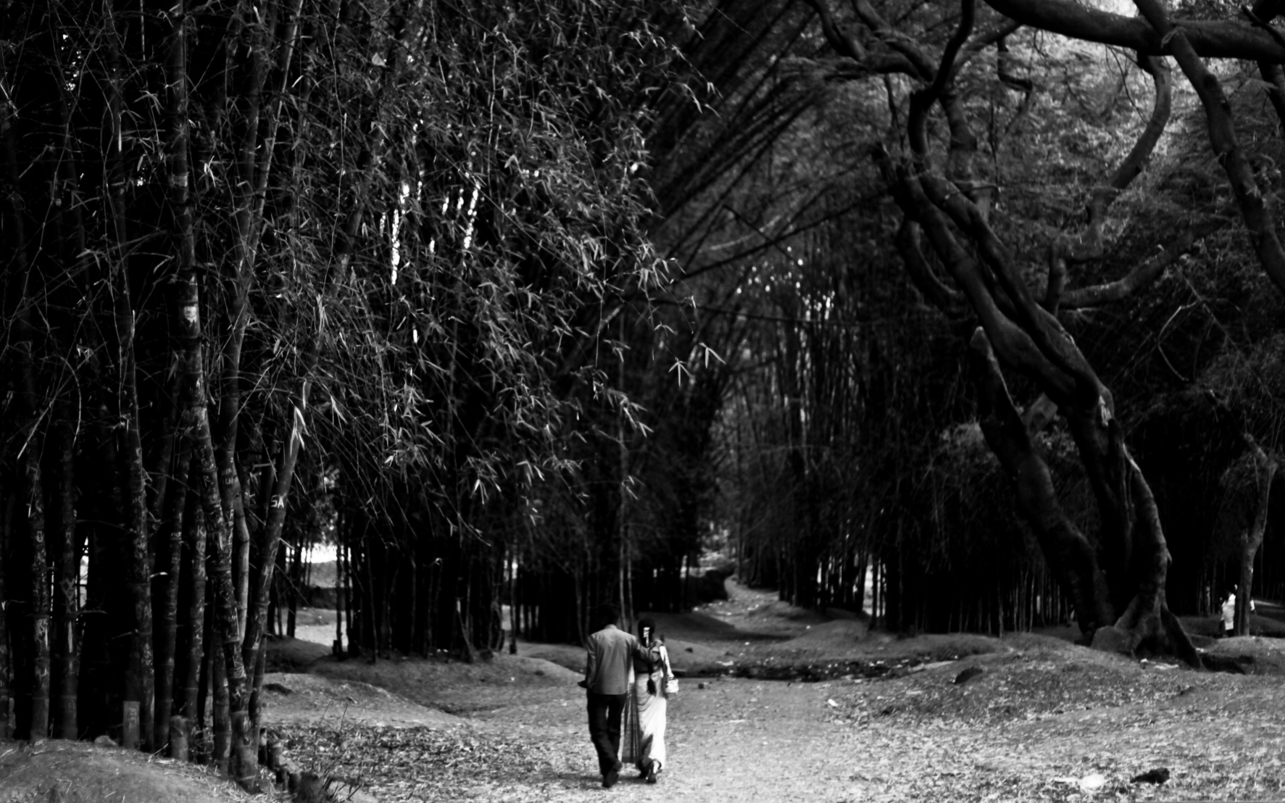 Screenshot №1 pro téma Romantic Walk 2560x1600