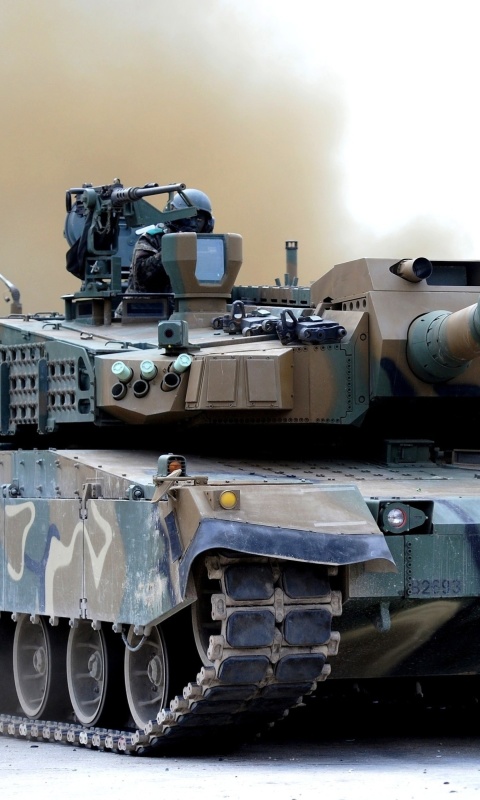 Обои South Korea Black Panther 480x800
