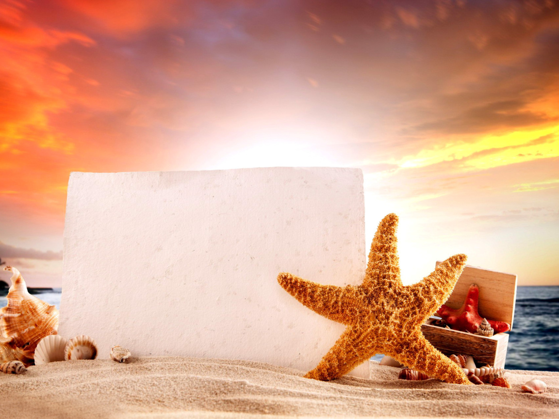 Das Seashell and Starfish Coastal Decor Wallpaper 1152x864