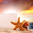 Fondo de pantalla Seashell and Starfish Coastal Decor 128x128