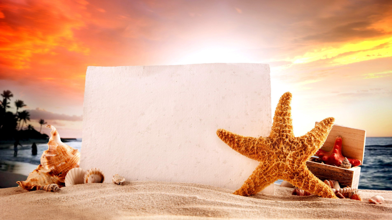 Seashell and Starfish Coastal Decor wallpaper 1366x768