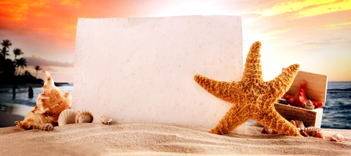 Das Seashell and Starfish Coastal Decor Wallpaper 720x320