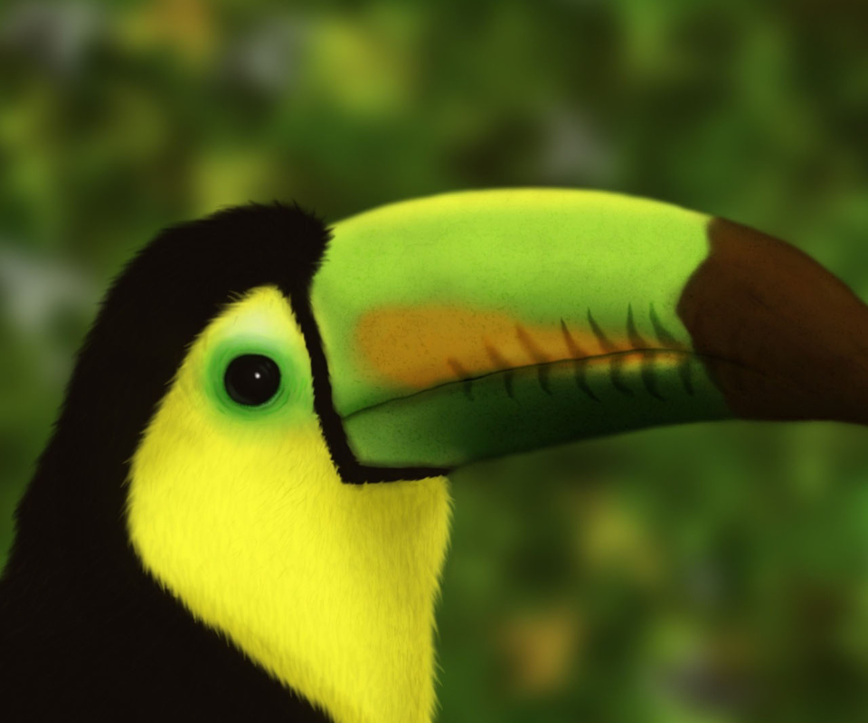 Screenshot №1 pro téma Toucan 960x800