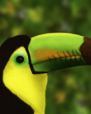 Toucan - Obrázkek zdarma pro Nokia C2-00