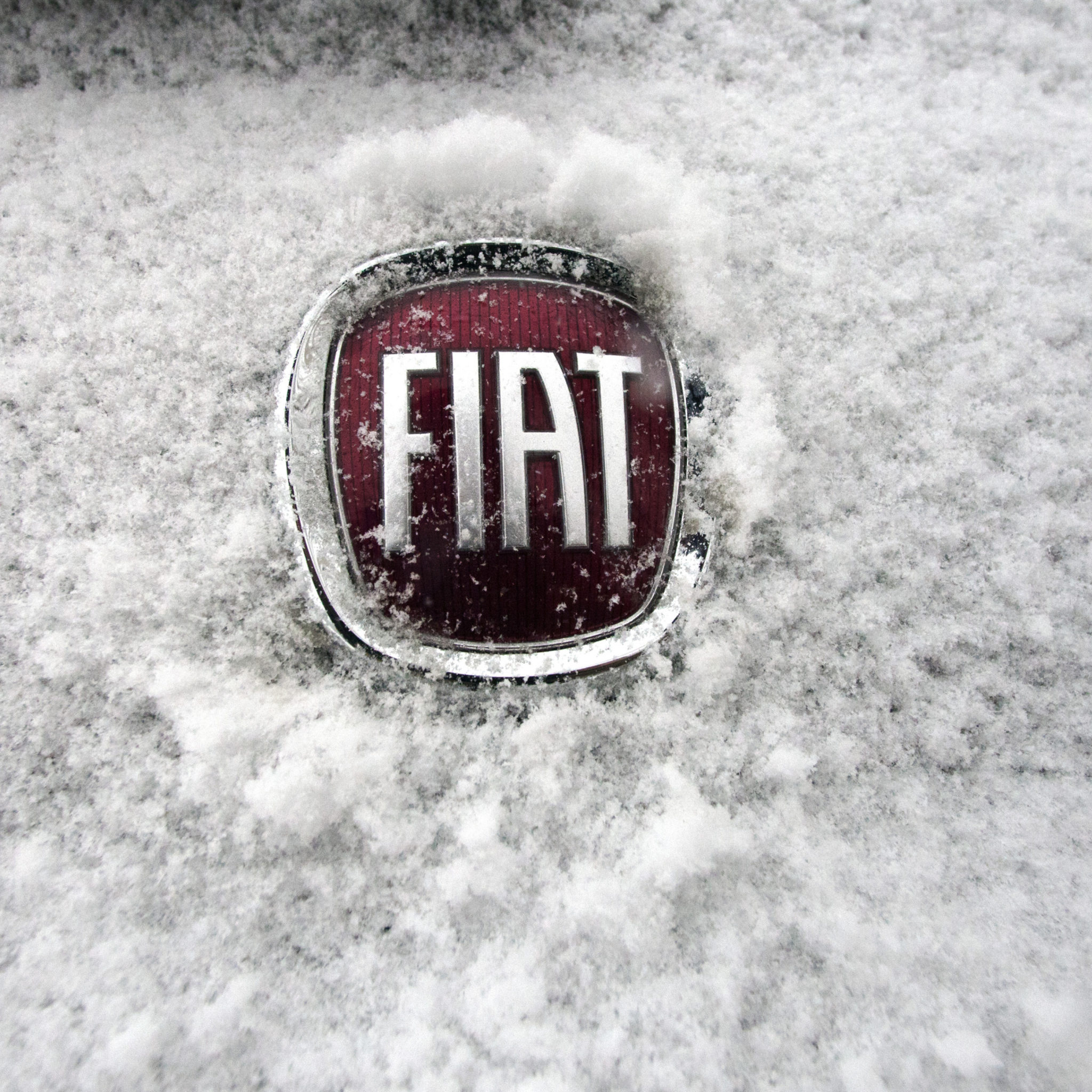 Обои Fiat Car Emblem 2048x2048