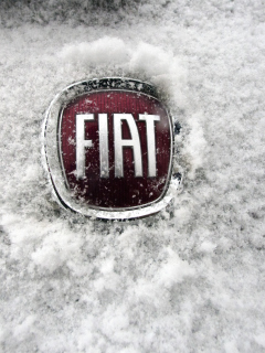 Sfondi Fiat Car Emblem 240x320