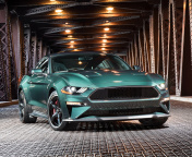 Screenshot №1 pro téma 2019 Ford Mustang 176x144