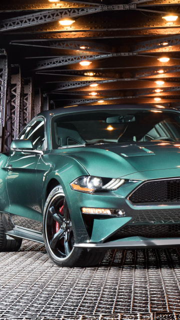 2019 Ford Mustang screenshot #1 360x640