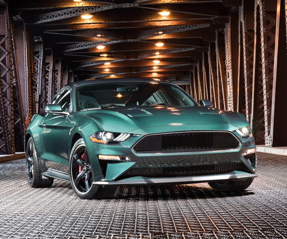 2019 Ford Mustang screenshot #1 960x800