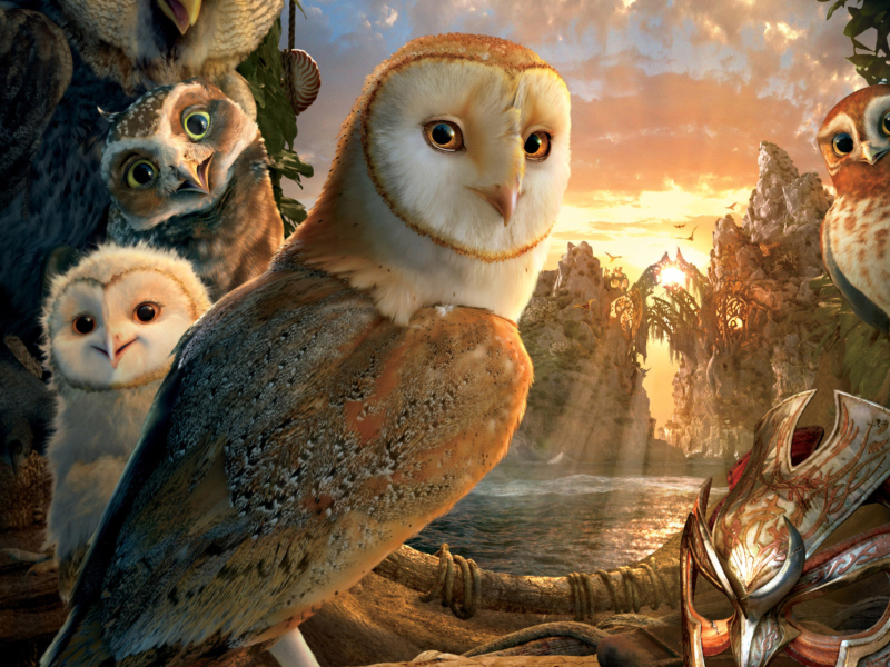 Screenshot №1 pro téma Legend Of The Guardians The Owls Of Ga Hoole 800x600