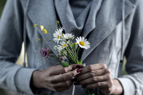 Das Pretty Little Field Bouquet In Hands Wallpaper 480x320