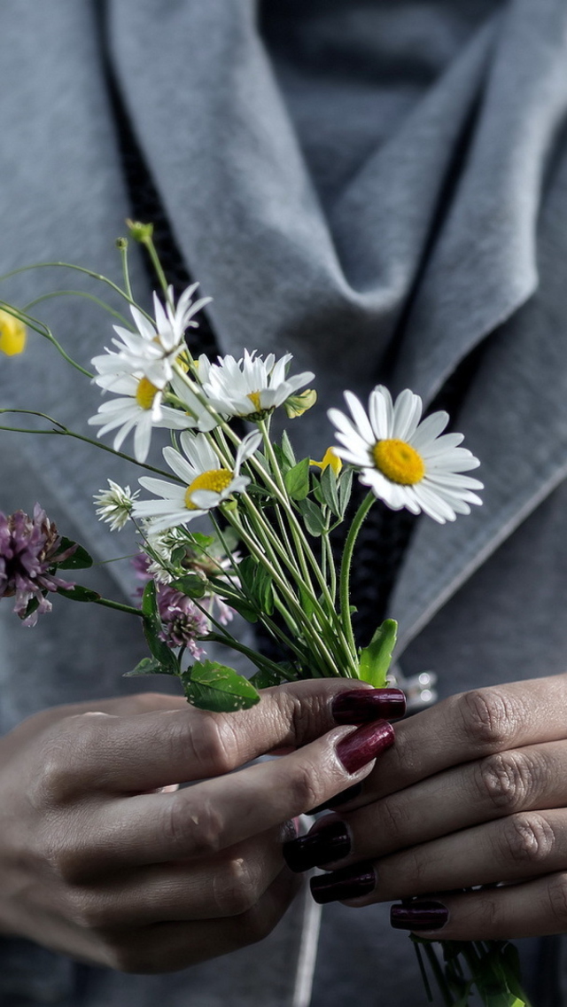Das Pretty Little Field Bouquet In Hands Wallpaper 640x1136