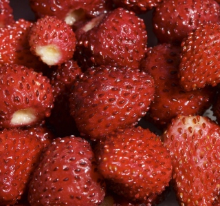 Kostenloses Strawberries Wallpaper für iPad