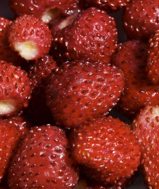 Strawberries - Obrázkek zdarma pro Nokia Asha 305