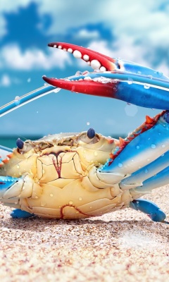 Fondo de pantalla Blue crab 240x400