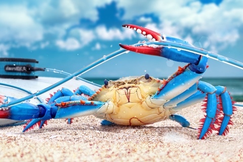 Обои Blue crab 480x320