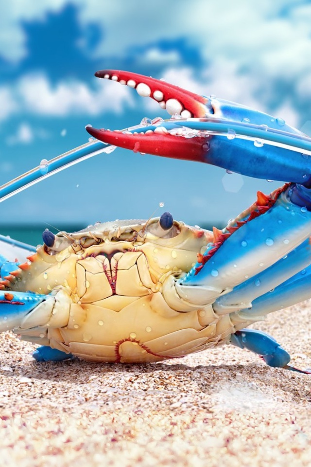 Fondo de pantalla Blue crab 640x960