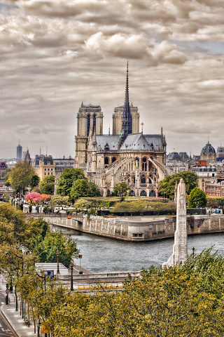 Notre dame de Paris wallpaper 320x480