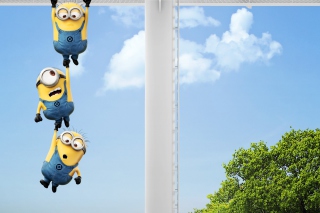 2013 Despicable Me 2 Minions Picture for Android, iPhone and iPad